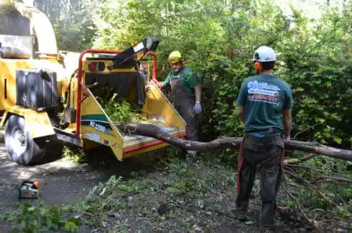 tree services Arnolds Park